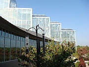 Western Michigan [2009] 187